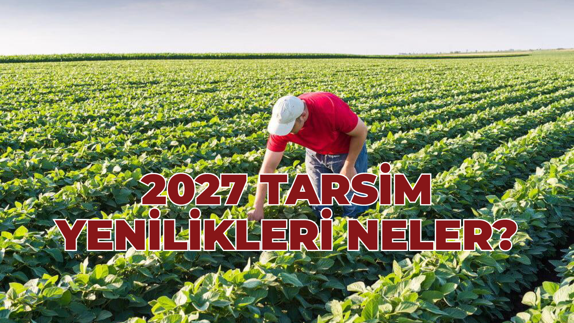 2027 TARSİM YENİLİKLERİ AÇIKLANDI: TARIM SİGORTALARINDA KAPSAM GENİŞLİYOR